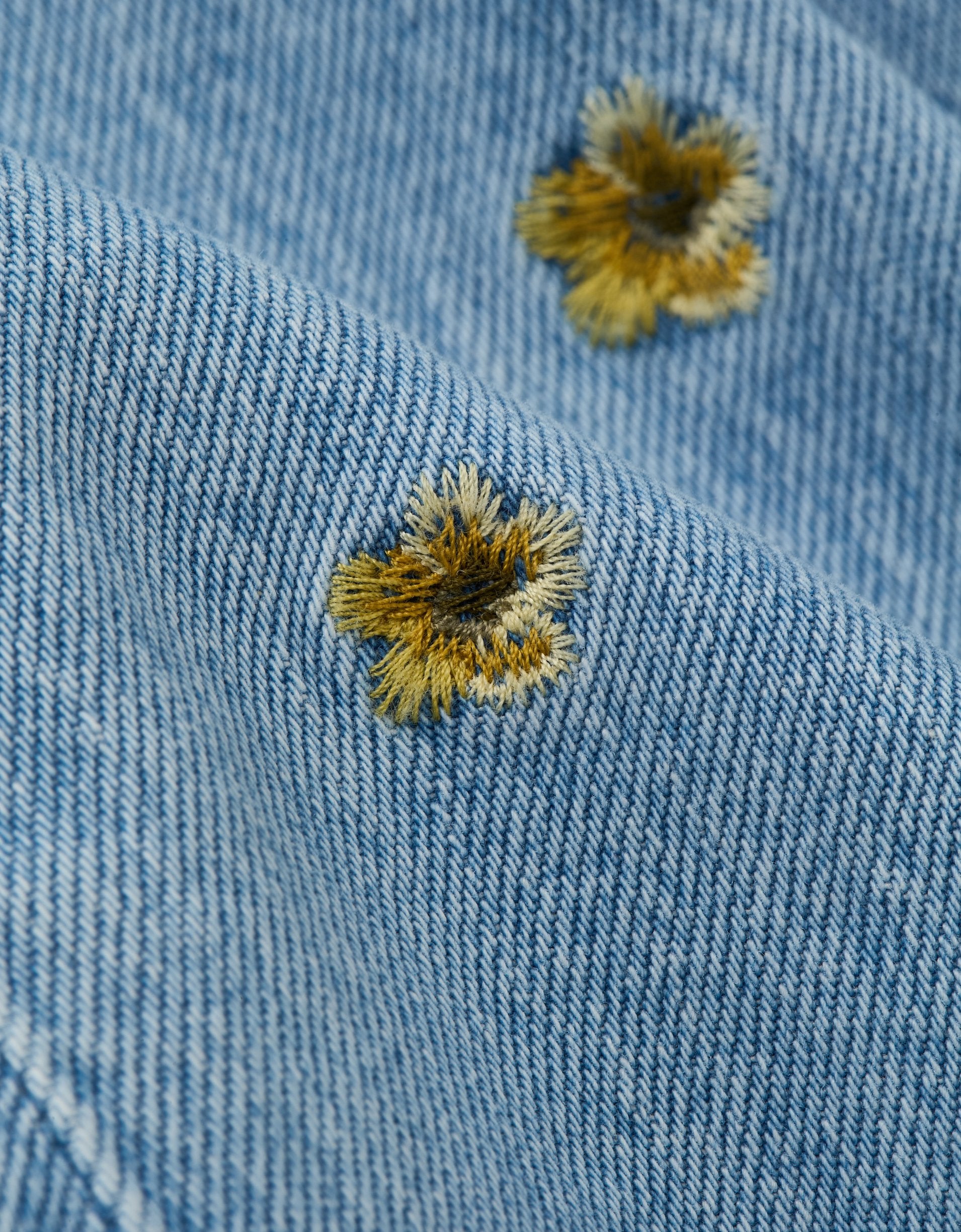 485621.jpg