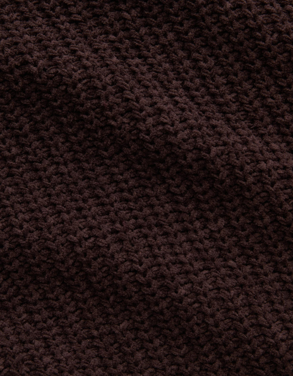 509029.jpg