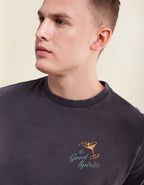 551577.jpg