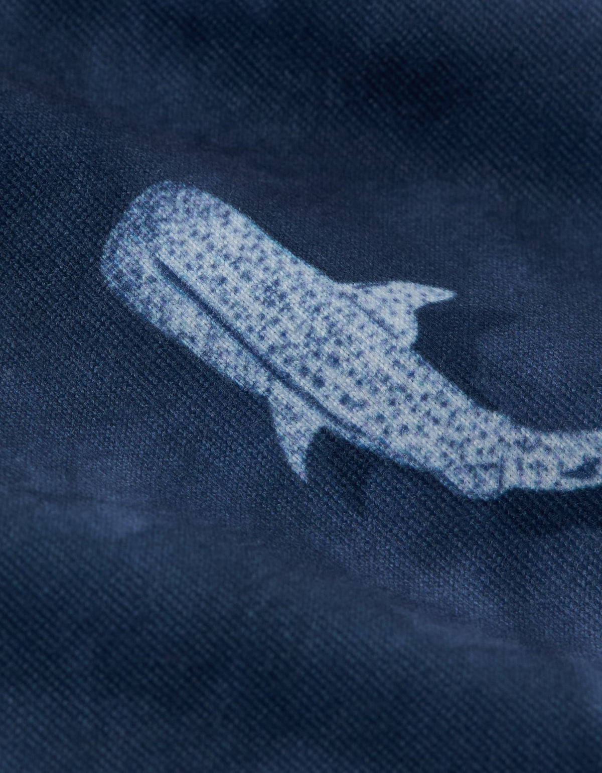 594340.jpg
