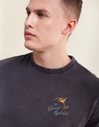 602882.jpg
