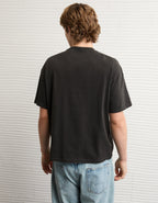 631366.jpg