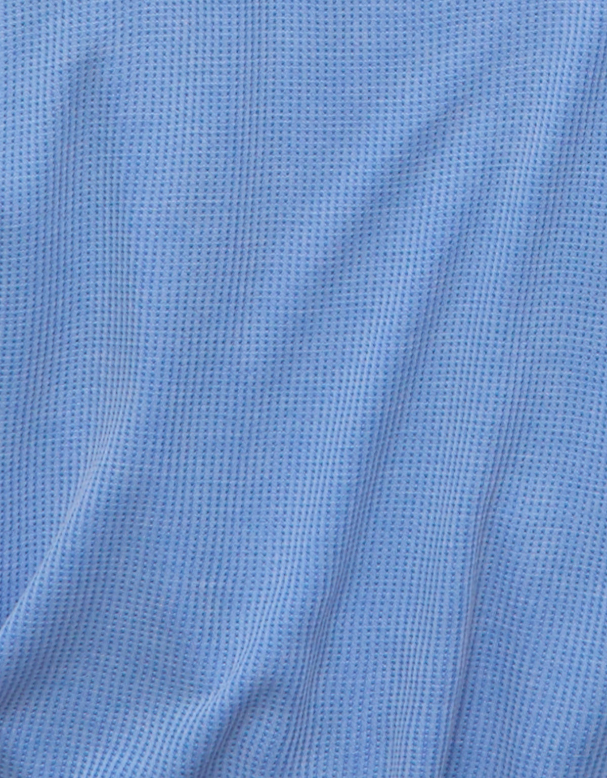 641462.jpg