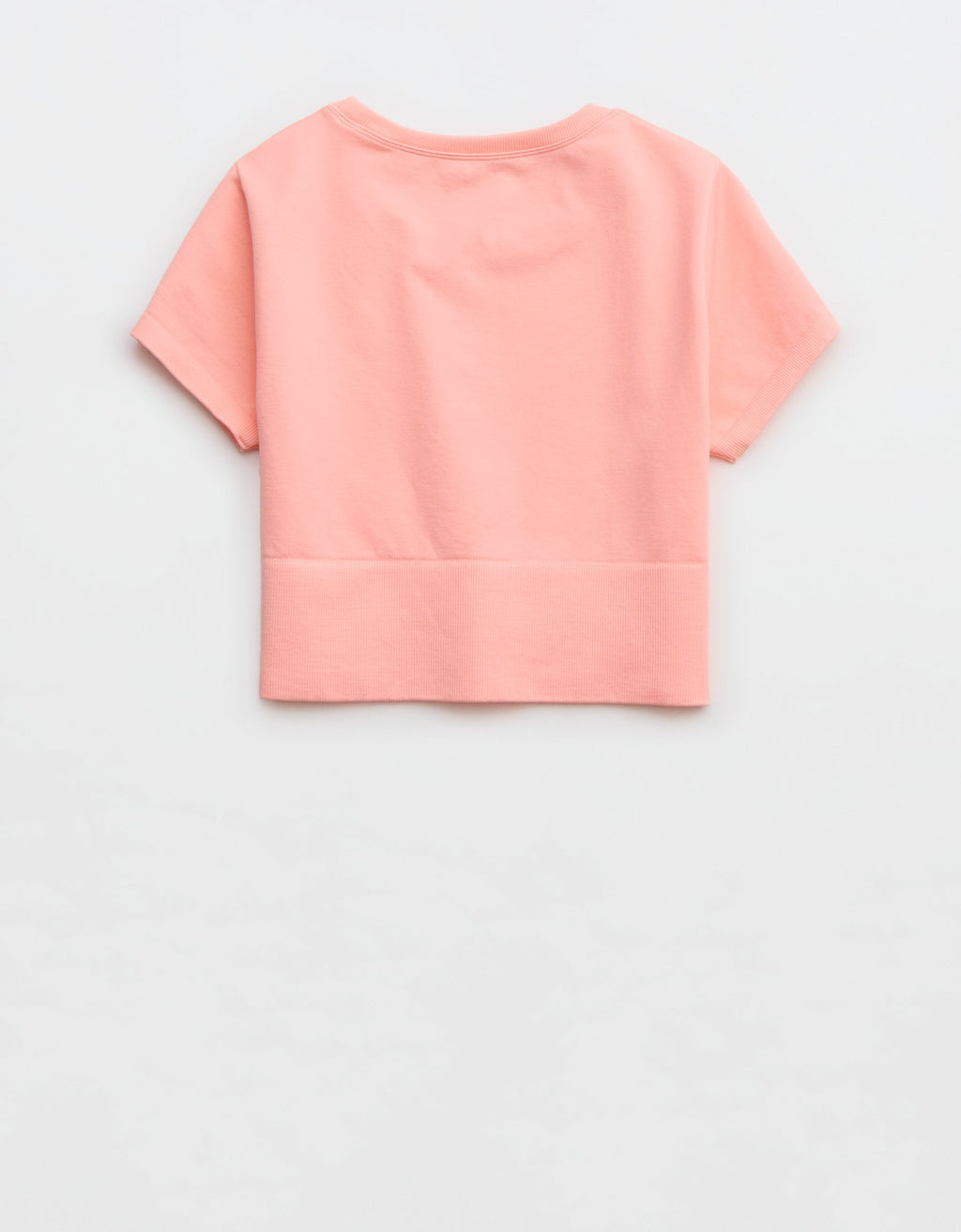 678037.jpg